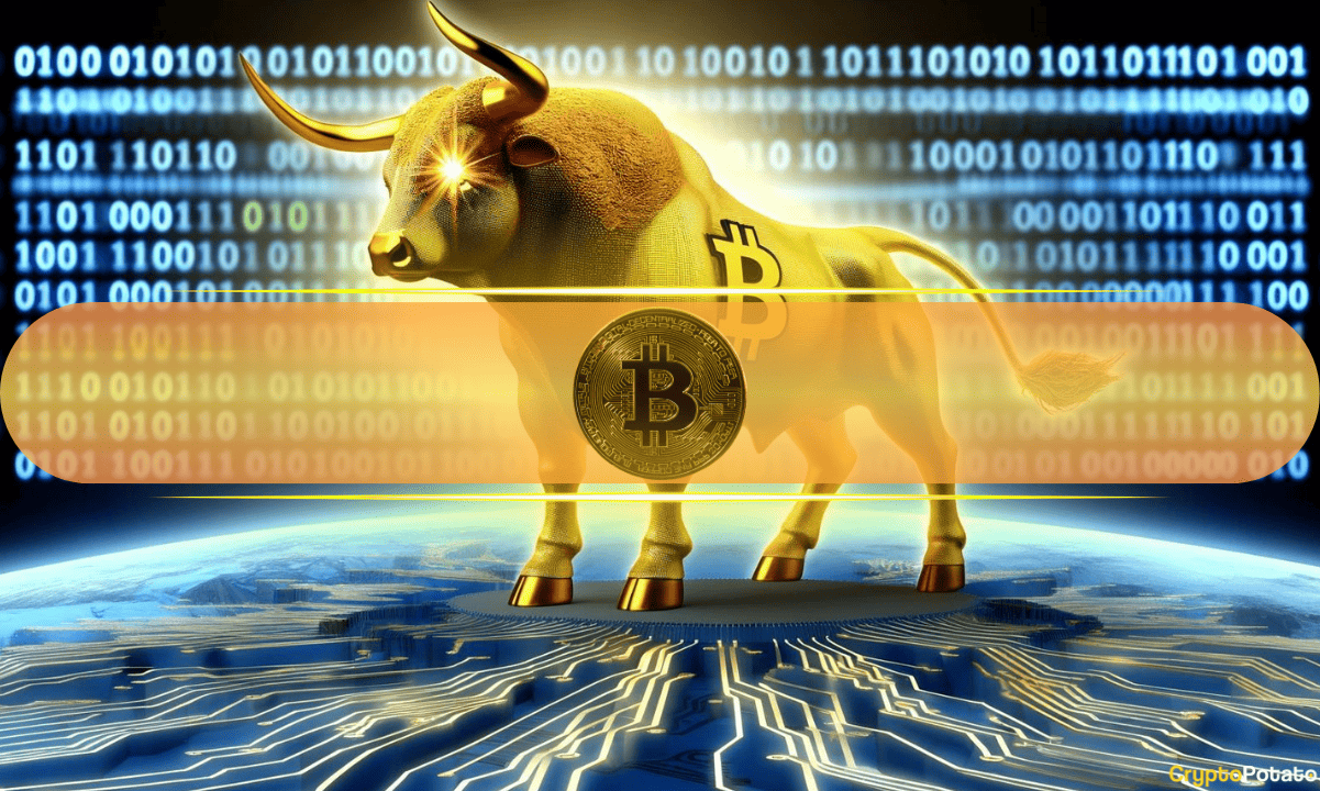 bitcoin bull cover