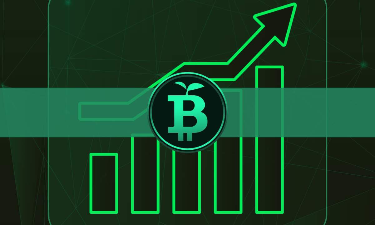 Solana, Toncoin, Green Bitcoin Among Top Crypto Gainers This Monday