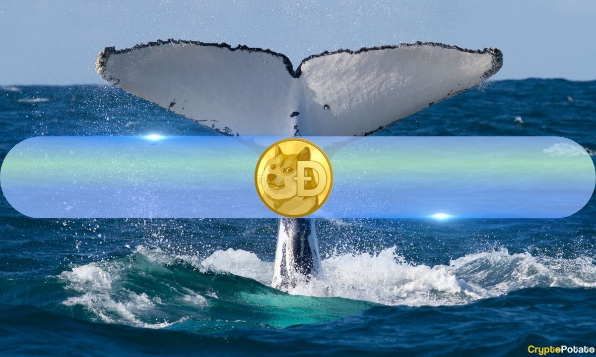 Whale Activity Backs Dogecoin’s (DOGE) Surge Above $0.16: Data