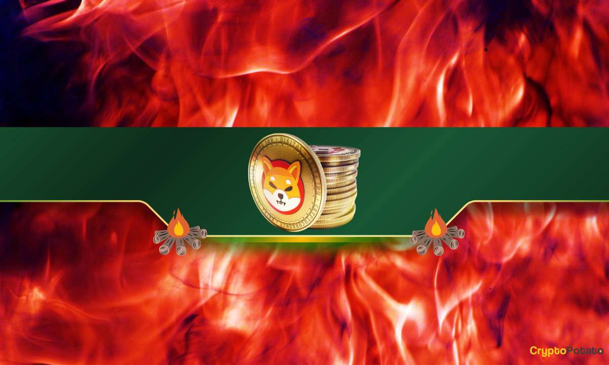 Shiba Inu Burn Rate Explodes by 1,200%: Is SHIB Poised for a Bull Run?