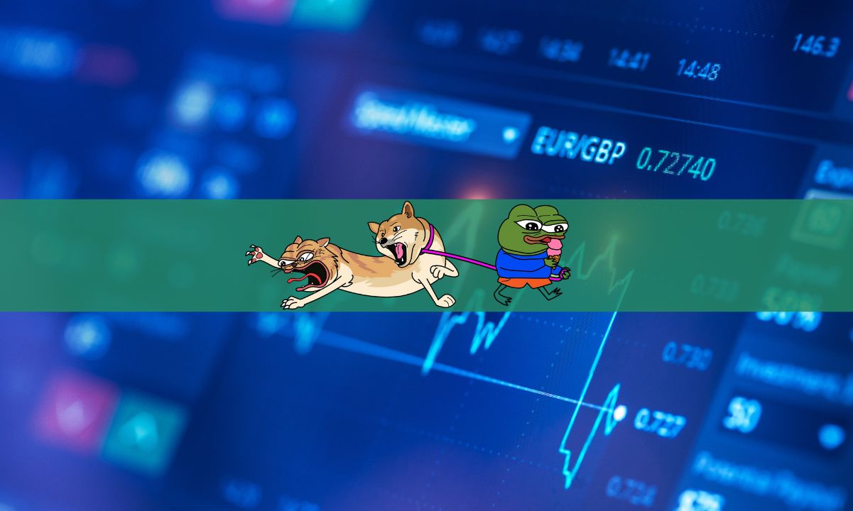 Dogwifhat Price Pumps 24% as Newcomer DogWifCat Makes an Exciting Debut
