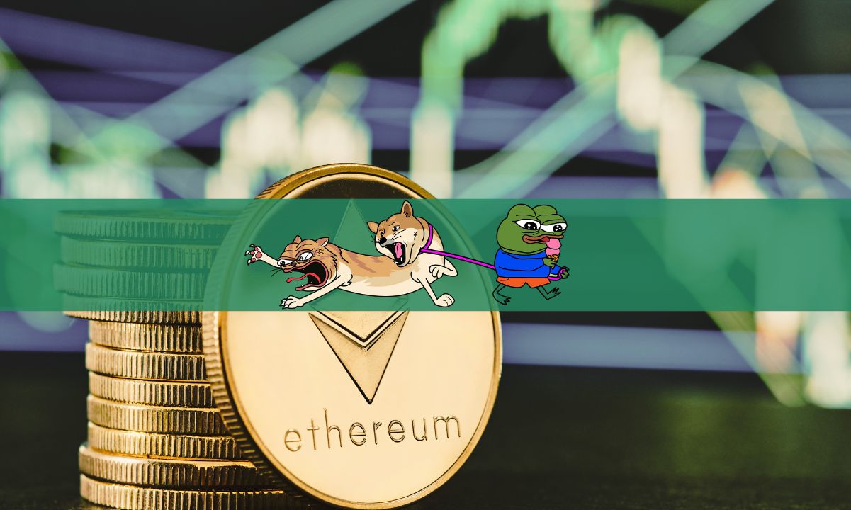 DogWifCat Token Surges Over 4,000% in Two Days – Next Big Solana Meme Coin?
