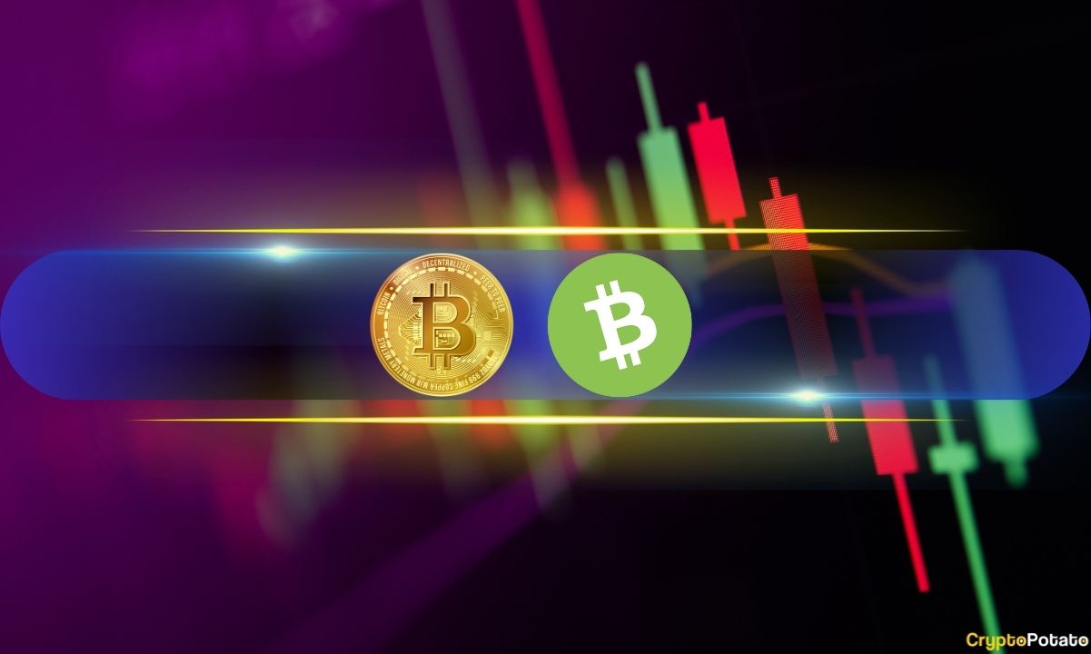 BCH Soars 10% After Completing Second Halving, BTC Sluggish at $66K (Market Watch)