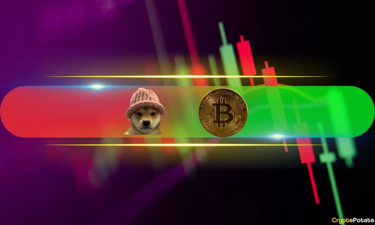 WIF Plummets by 15% Overnight, BTC Recovery Begins by Reclaiming $67K Level (Market Watch)