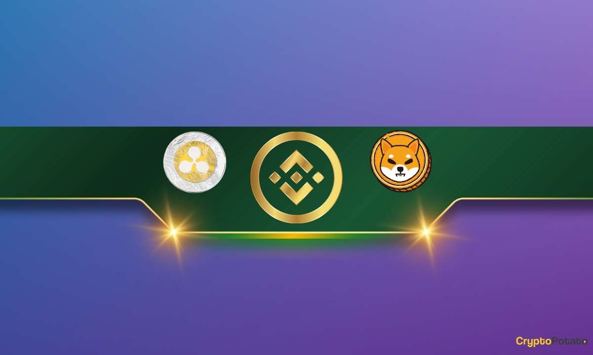 Here’s How Much Shiba Inu (SHIB) and Ripple (XRP) Binance Currently Holds