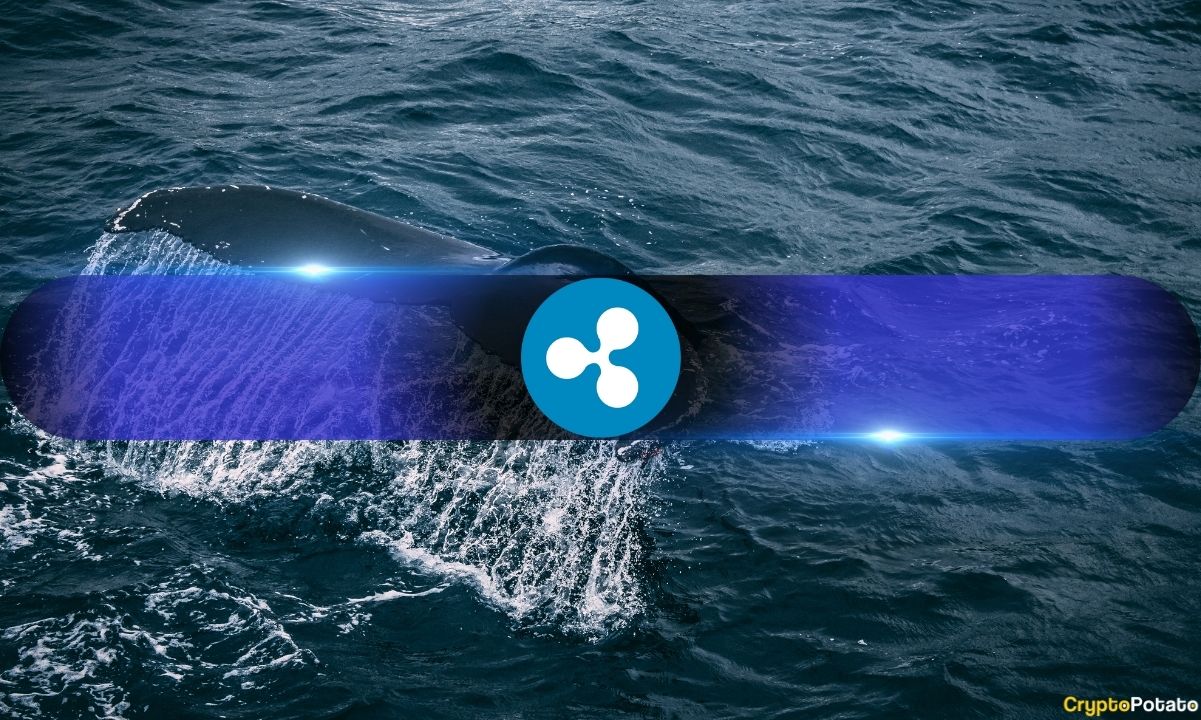 XRP's Price Plunge Spurs Whale Buying Frenzy Amidst Ripple Vs. SEC Saga