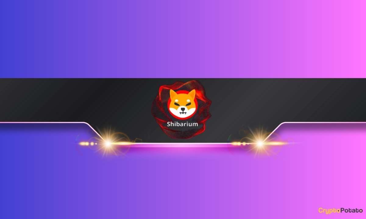 Key Shiba Inu Metric Skyrockets by 4,000%: What Does it Mean for the SHIB Price?