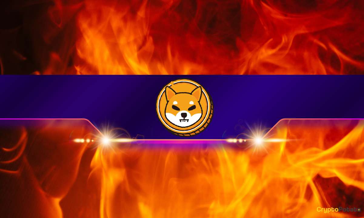 Shiba Inu (SHIB) Burn Rate Explodes by Almost 600%: Details