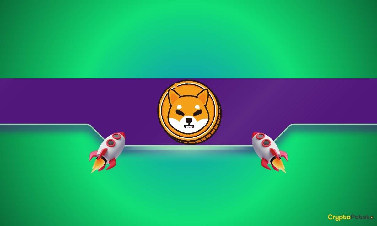 Shiba Inu (SHIB) Price Soars by 7% in an Hour: Details