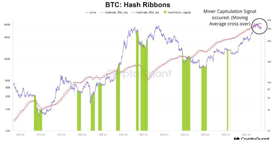 BTC Hash Ribbons. Source: CryptoQuant