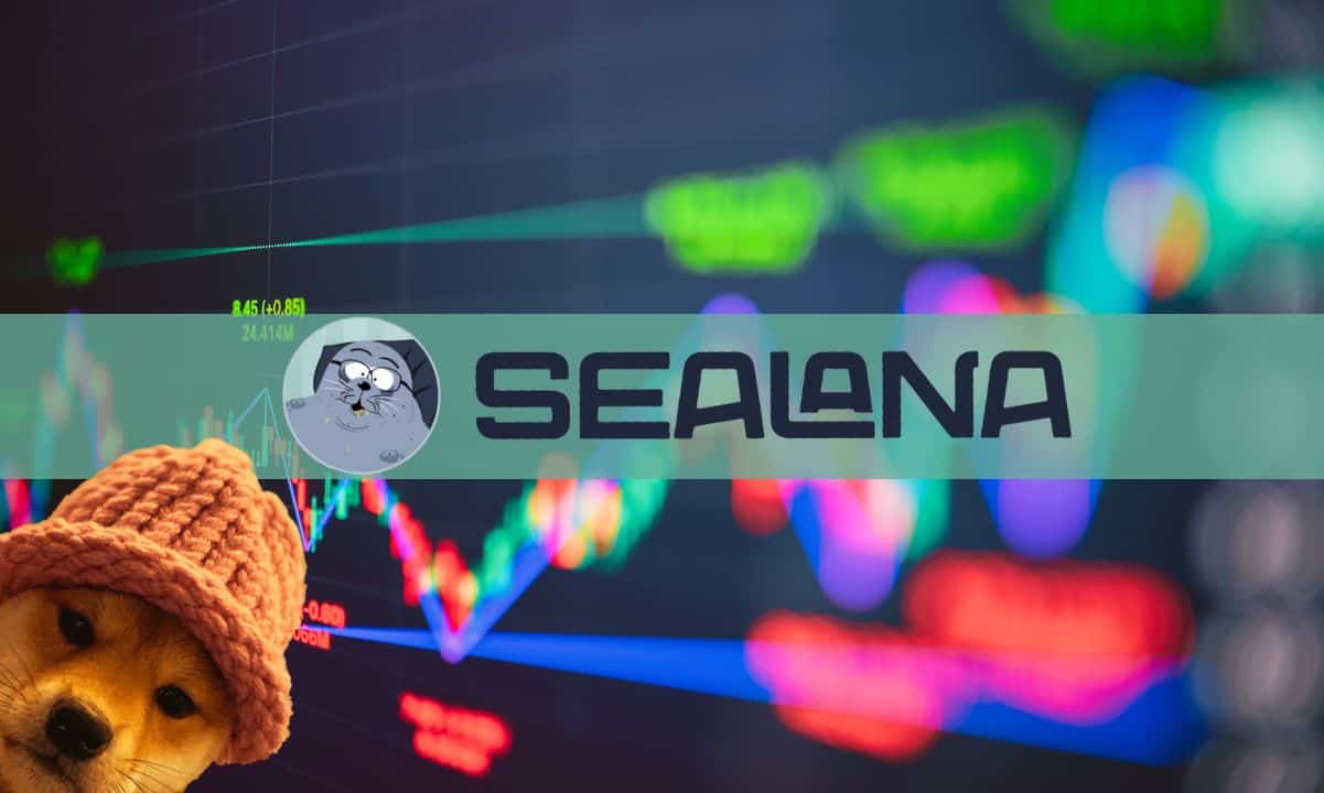 Dogwifhat & Bonk Pumping as New SOL Meme Coin Sealana Prepares for Exchange Listings