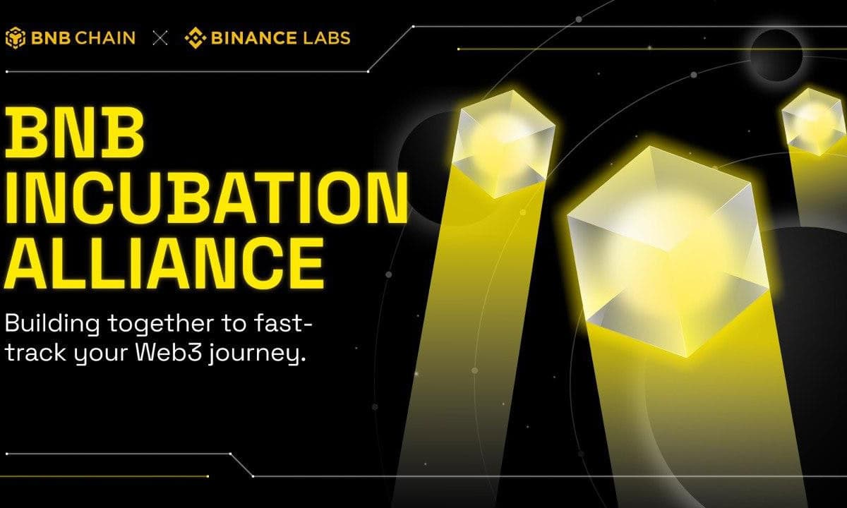BNB Chain and Binance Labs Collaborate With Top VCs To Launch BNB Incubation Alliance (BIA)