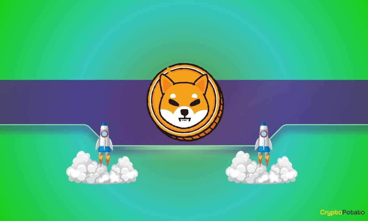 Why is the Shiba Inu (SHIB) Price Up Today?