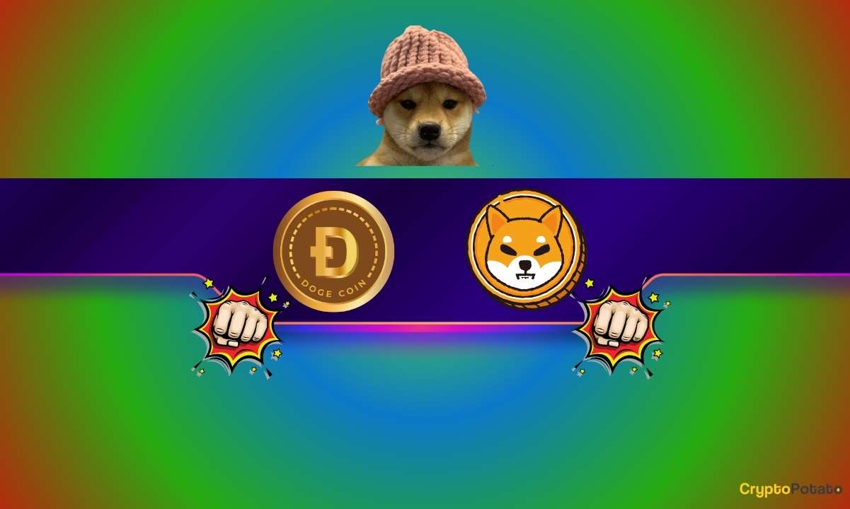 Meme Coin Outlook July 1st: Dogwifhat (WIF) Outperforms DOGE, SHIB, and PEPE