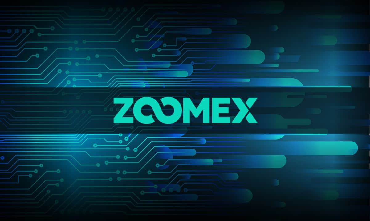 Introduction to Zoomex: A Newbie’s Guide