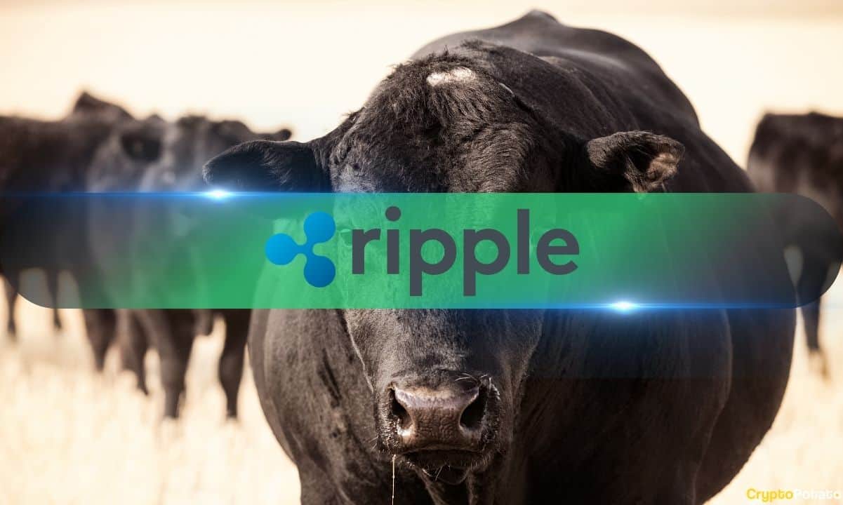 Perspectives de prix de Ripple pour septembre : XRP est-il l'altcoin à surveiller ? - La Crypto Monnaie