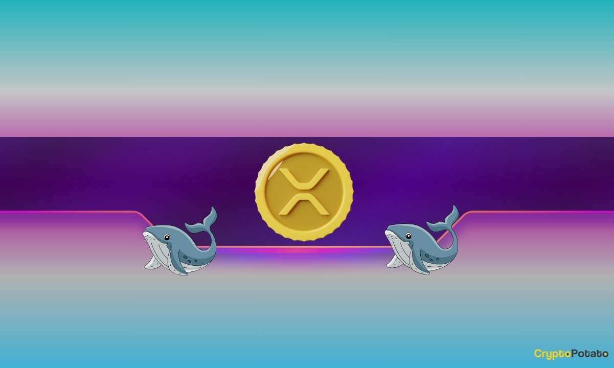 Are XRP Whales Positioning for the End of the Ripple vs. SEC Lawsuit?