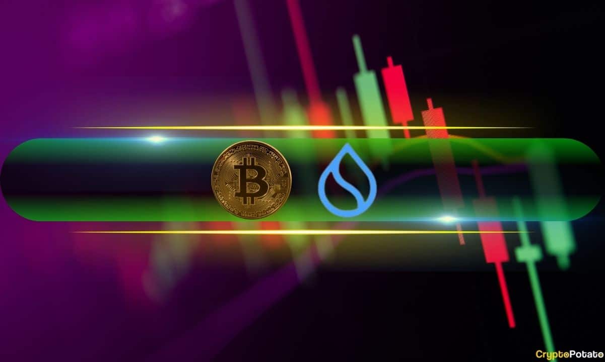 Bitcoin Price Reclaims $54K Level, SUI Explodes 11% Daily (Weekend Watch)