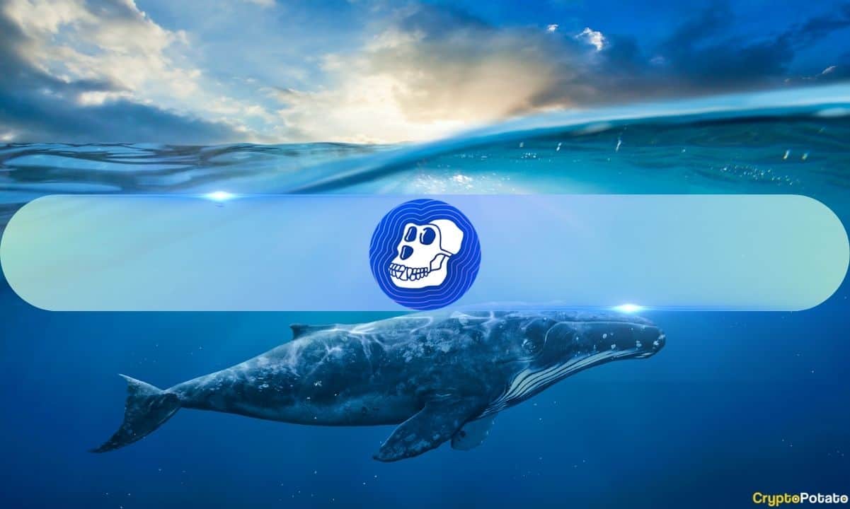 2,100% Surge in Whale ApeCoin Transactions, What About APE's Price?