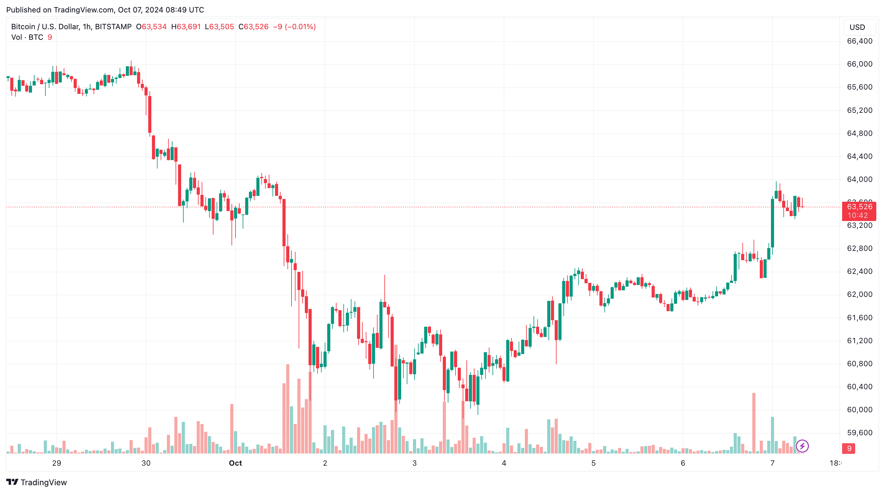 Цена биткойнов взлетает до $64 тыс., Dogwifhat (WIF) растет на 20% ежедневно (обзор рынка)