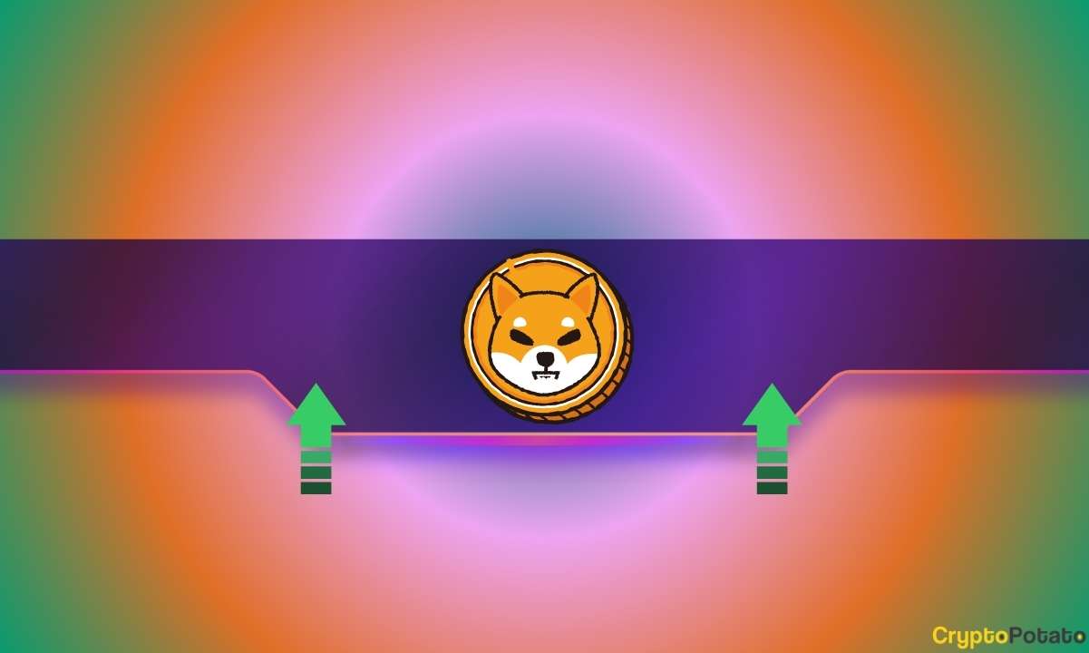 Why Has Shiba Inu’s (SHIB) Price Skyrocketed by 25% Today? – BitRss