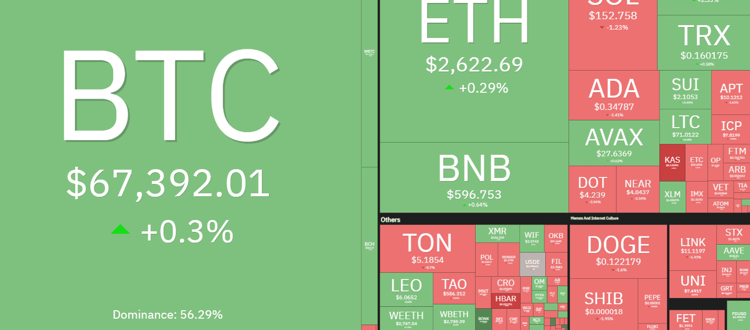 These 2 Meme Coins Chart Biggest Daily Gains as Bitcoin (BTC) Maintains $67K (Market Watch)