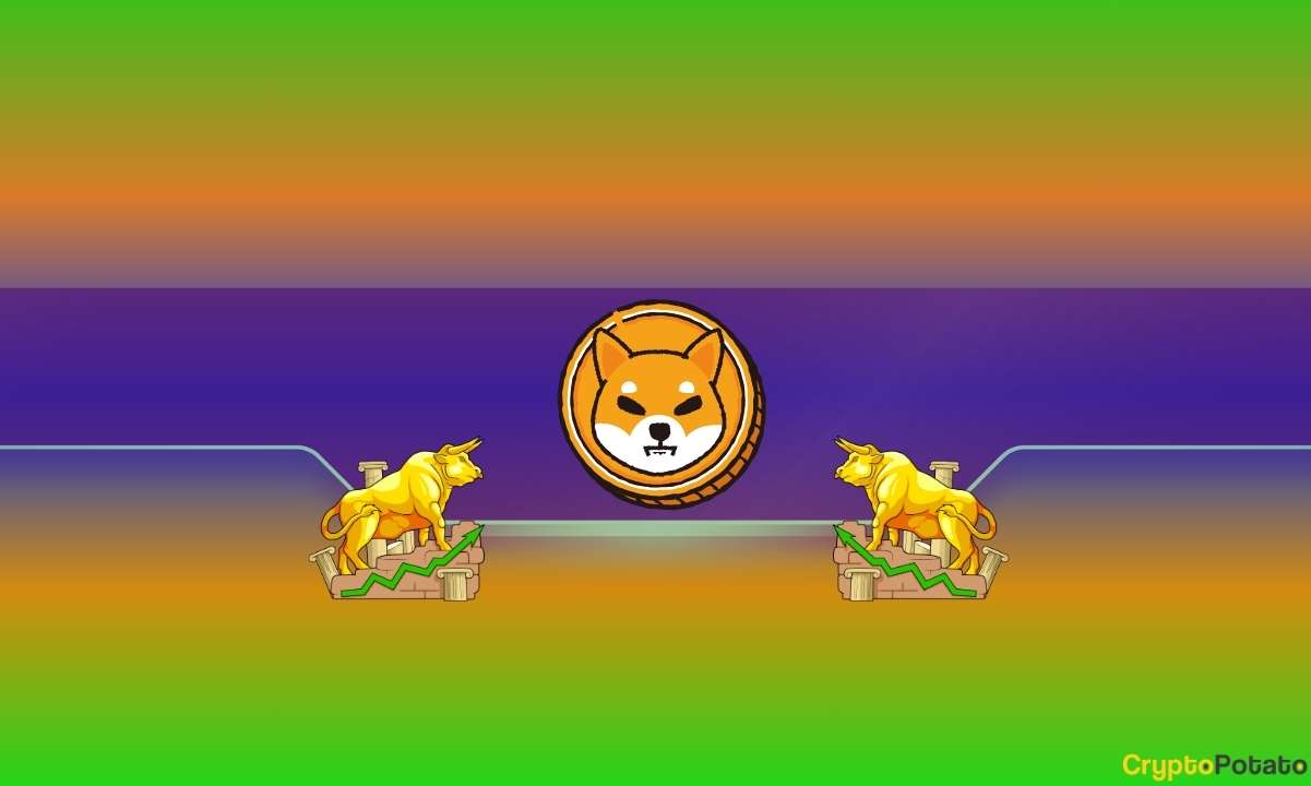 Important for Shiba Inu (SHIB): Burn Rate Skyrockets by Almost 2,000% Amid Recent Price Increase