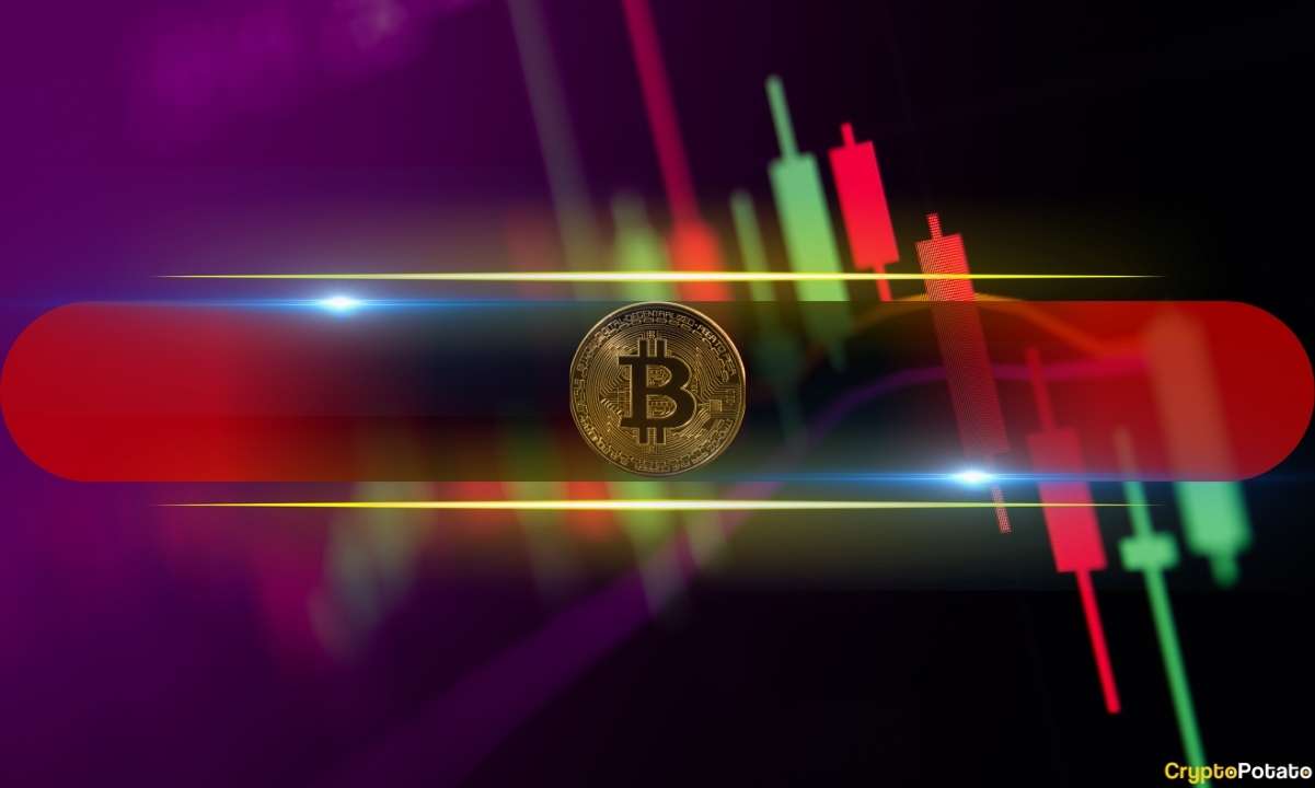 Bitcoin (BTC) Rebounds From the Crash to $80,000, These Altcoins Plummet by Double Digits (Market Watch)