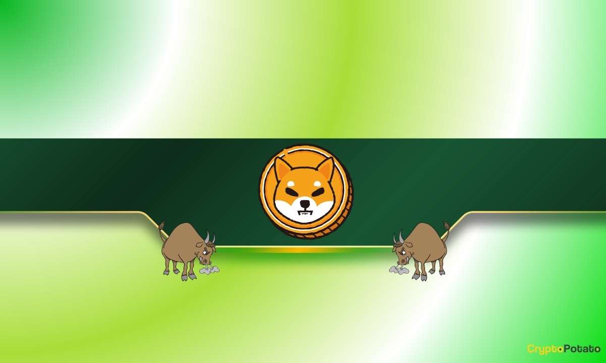 3 Reasons Why the Shiba Inu (SHIB) Price Might Rally Soon