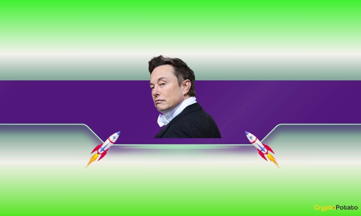 These Meme Coins Skyrocketed After His Interaction on X