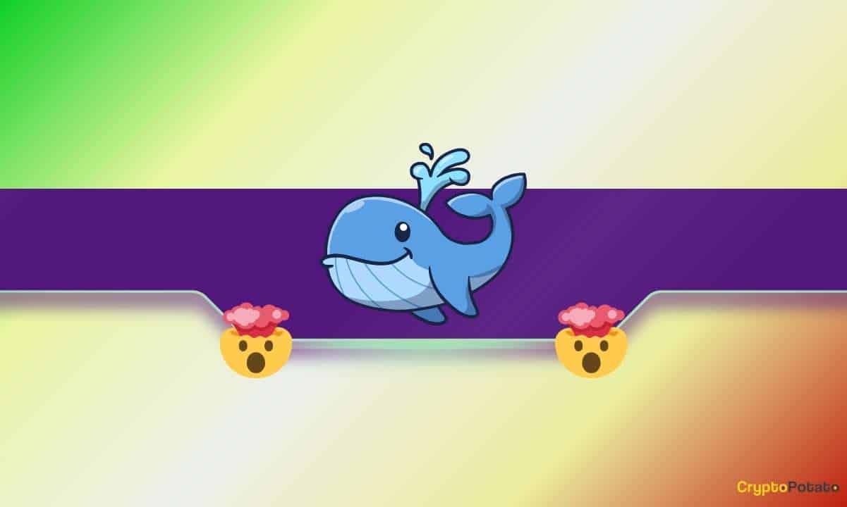 Crypto Whale James Wynn's M Portfolio Wiped Out in 5 Days: A Detailed Recap
