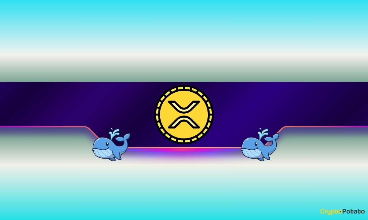 900,000,000 XRP Bought in a Month: What Do Ripple Whales Know?