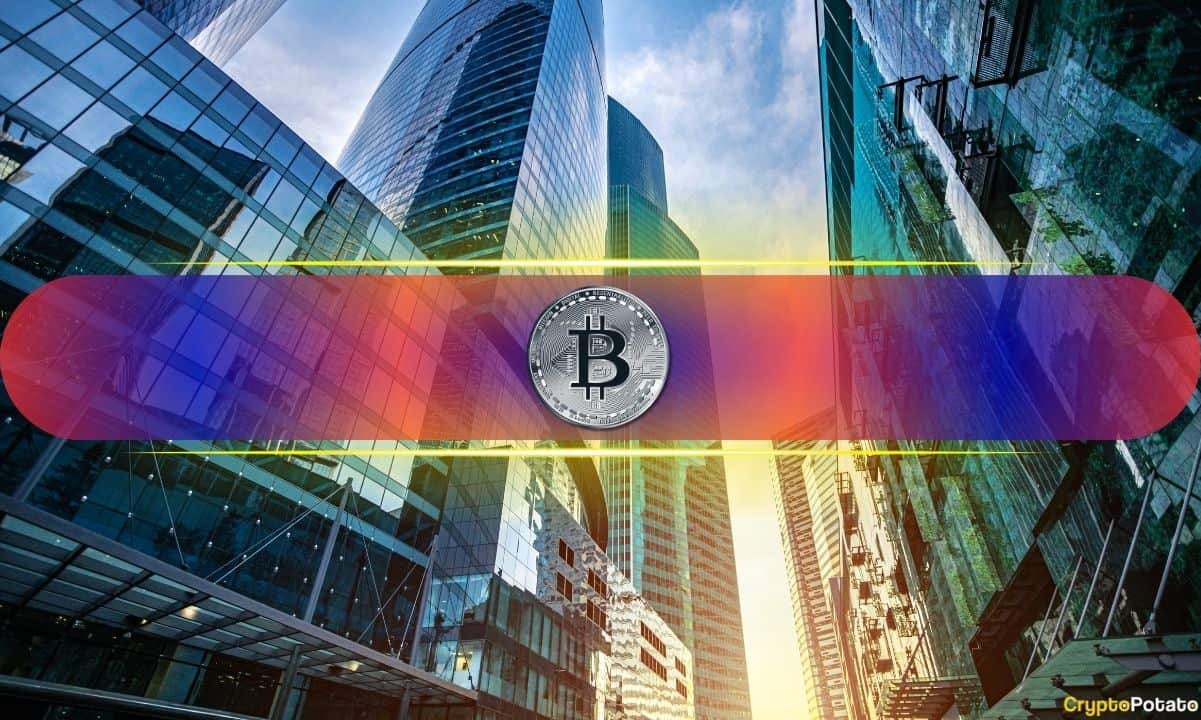 Are Corporate BTC Piles Good or Bad for Bitcoin?