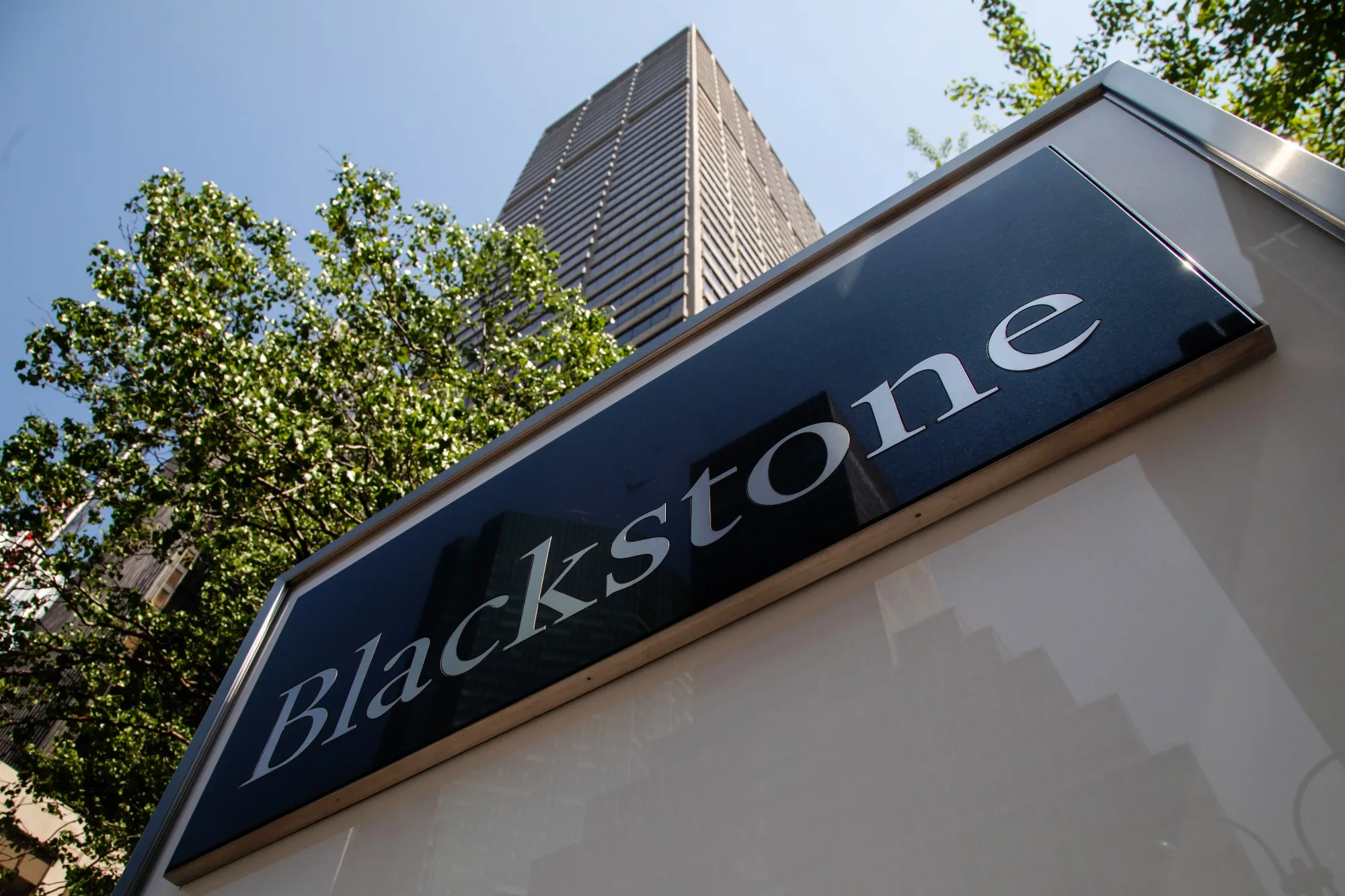Ex-Blackstone Exec, Tether Co-Founder to Launch $1B Crypto Reserve SPAC