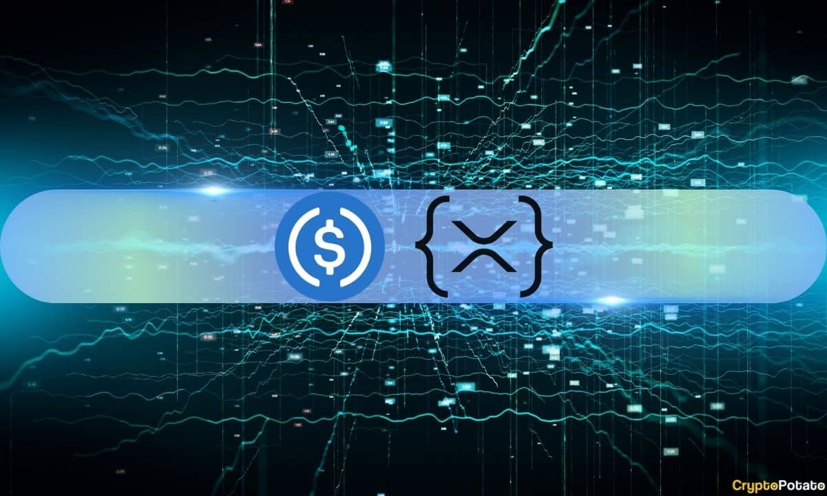 Ripple's XRP Ledger Welcomes the World's Second-Biggest Stablecoin