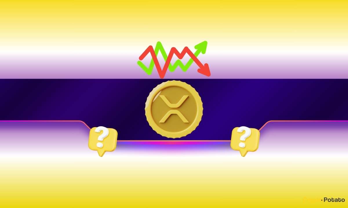 Ripple (XRP) Rocketed to All-Time High Levels Last Time This Happened: Will History Repeat?
