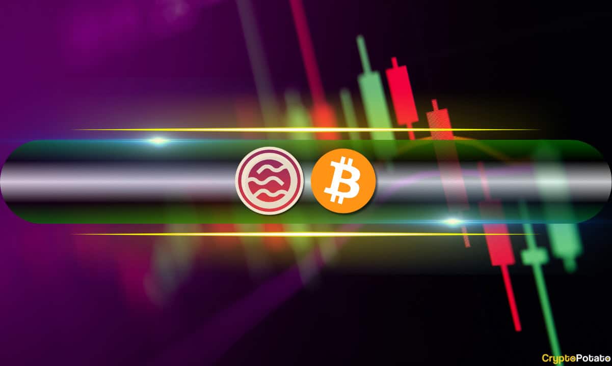 Crypto Markets Bounce, SEI Explodes by 41% Daily, But Warning Signs Quickly Pop (Market Watch)
