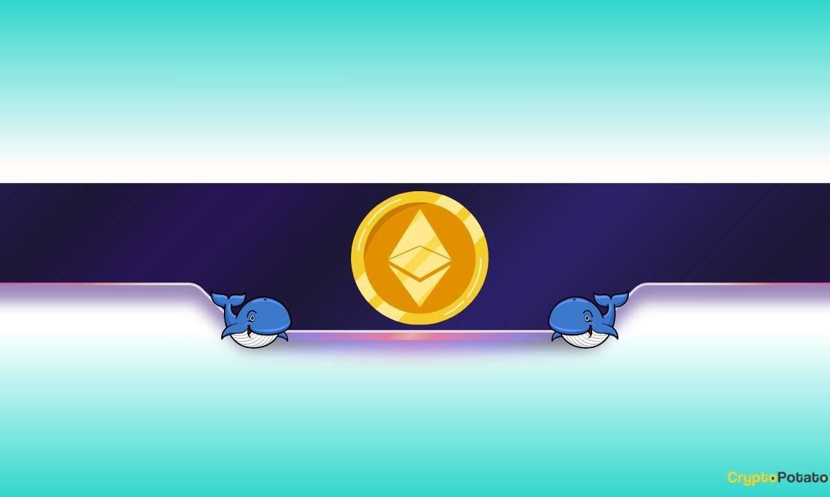 Ethereum Price Rally on the Way?