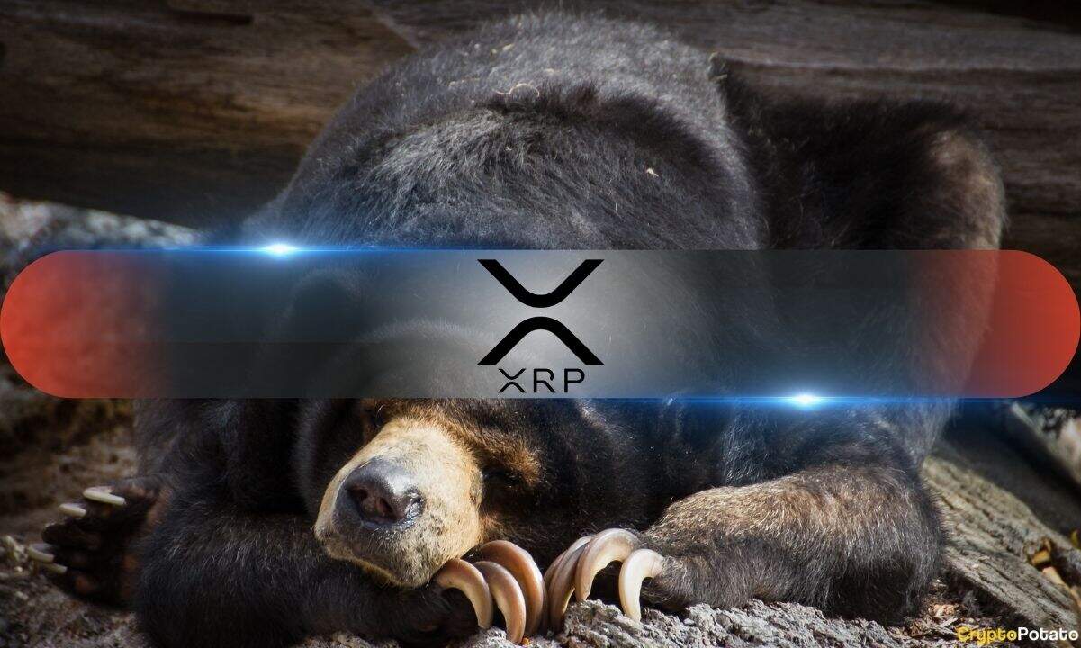 From $27 to $0.80? Analyst Unveils XRP’s Potential Bear Market Scenario
