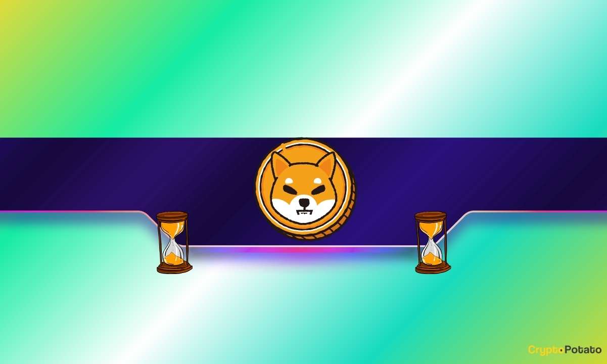 Shiba Inu (SHIB) Spikes 15% Weekly