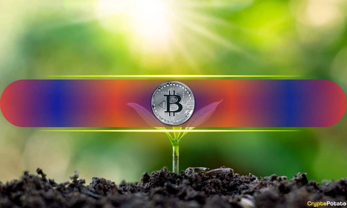 Bitcoin's Price is Nowhere Near Overheating Despite Surge to $123K: CryptoQuant