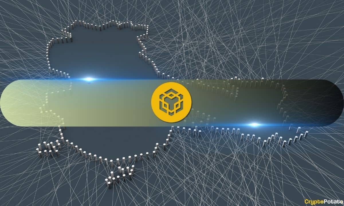 This Chinese Company is Buying a Lot of BNB, Aims to Own $1 Billion Worth
