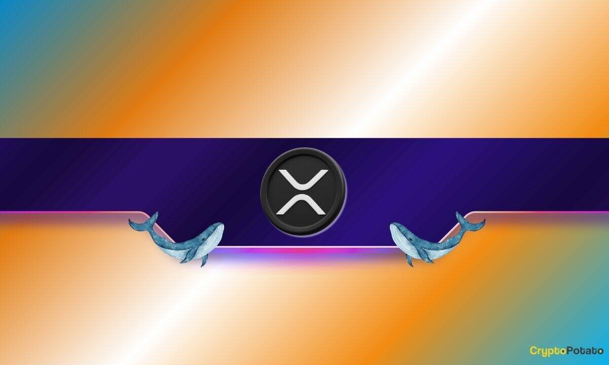 XRP Price Jumps 26% Weekly as Whale Moves in: $3 Breakout Ahead?