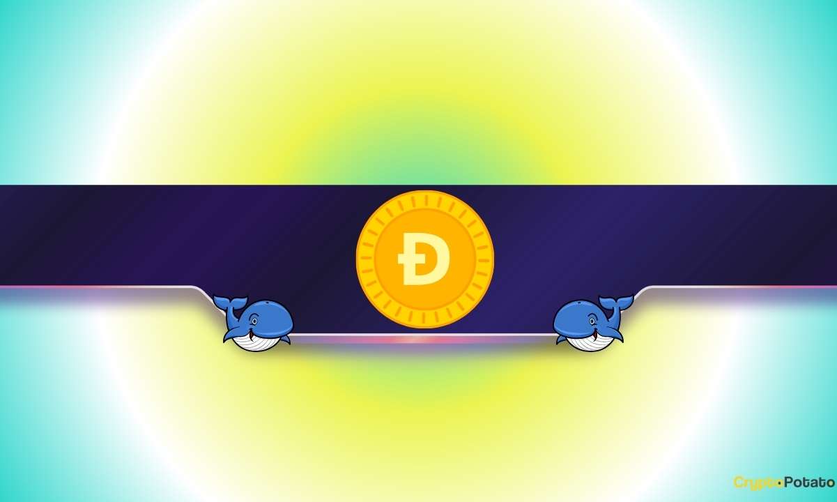 1,000,000,000 DOGE in 24 Hours: What Are Dogecoin Whales Preparing for?