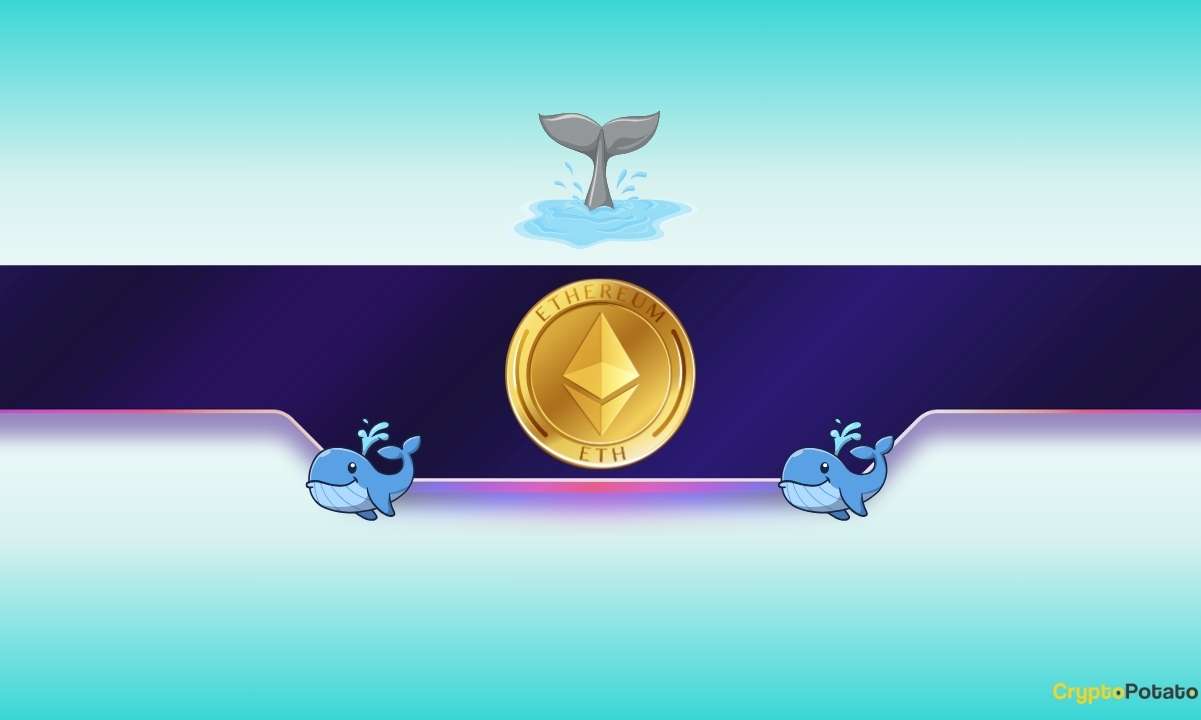 What Are Big Ethereum (ETH) Investors Up To?