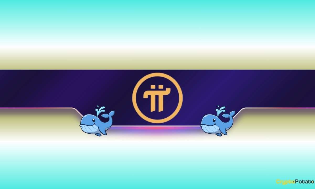 Pi Network's Price Plummets by 20% Weekly, but This Mysterious Whale Keeps Buying Pi: Details