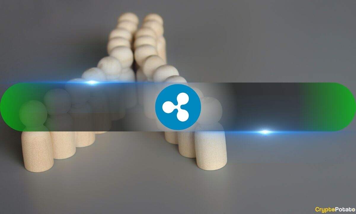 XRP Divide: Loved by Retail, Shunned by Institutions – What’s Driving the Sentiment Split?
