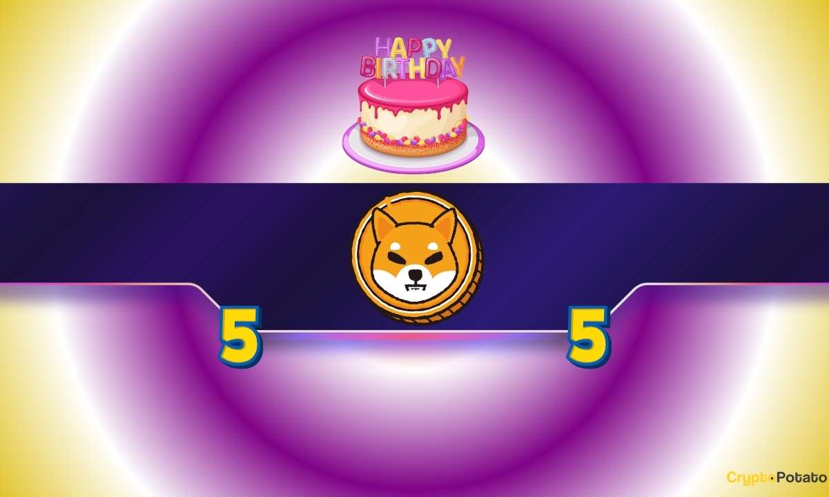 Big Milestones, Wild SHIB Swings, and What’s Next