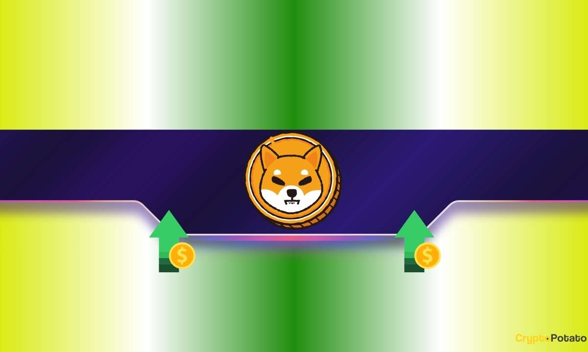 Why Is the Shiba Inu (SHIB) Price Up Today?