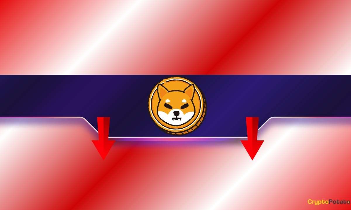 This Shiba Inu (SHIB) Metric Drops to a Multi-Month Low: More Pain Ahead?
